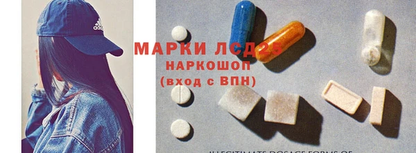 стафф Дмитров
