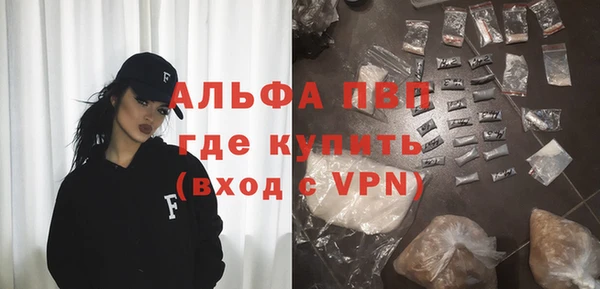 стафф Дмитров