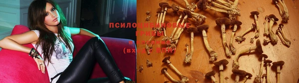 таблы Дмитриев