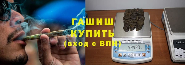 эйфоретик Щигры