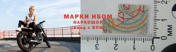 стафф Дмитров