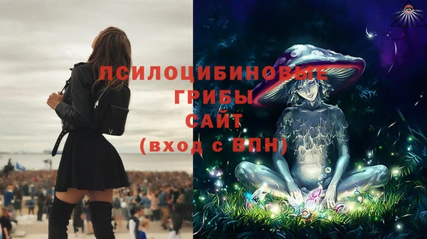 таблы Дмитриев