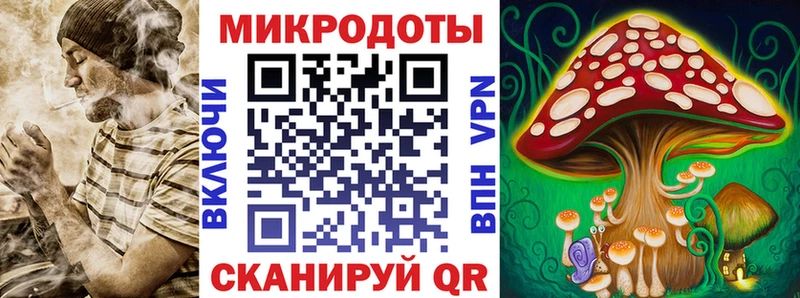 где купить наркотик  Карачаевск  Псилоцибиновые грибы мухоморы 