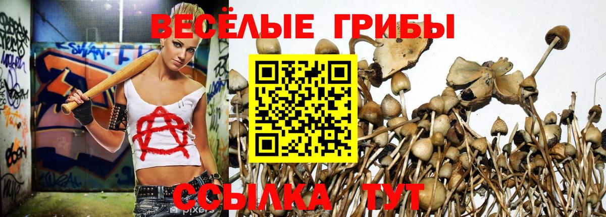 Галлюциногенные грибы прущие грибы  Вход с VPN  Карачаевск 