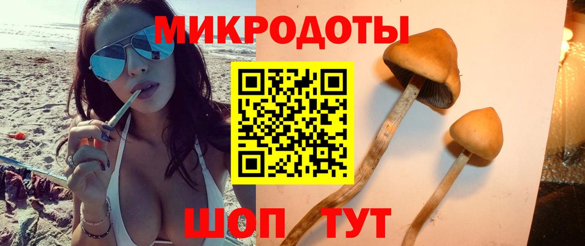 Галлюциногенные грибы мухоморы Карачаевск