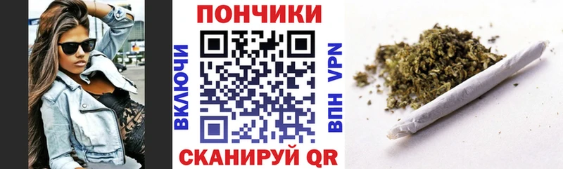 где купить наркотик  Карачаевск  Конопля THC 21% 